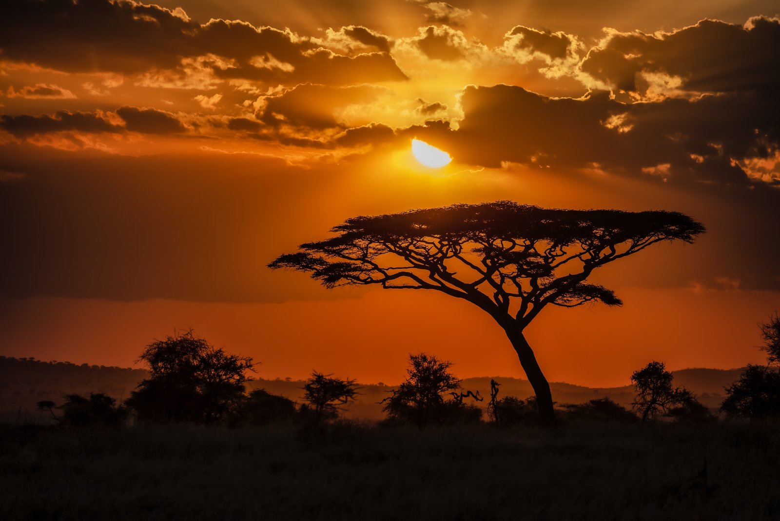 Navigating Uganda's Real Estate Landscape: Trends, Opportunities, and a Look Ahead